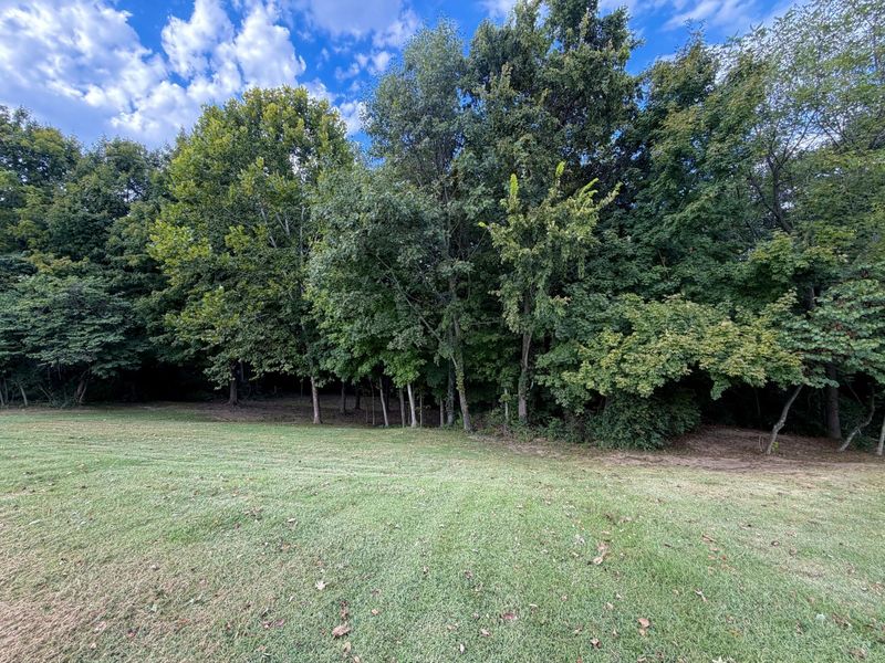 368 Rocky Pointe Court, Walton, KY 41094 Photo 29