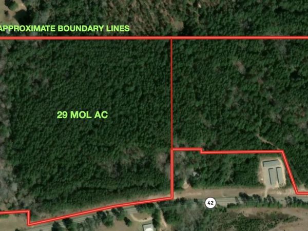 29 MOL AC HWY 42, Petal, MS 39465