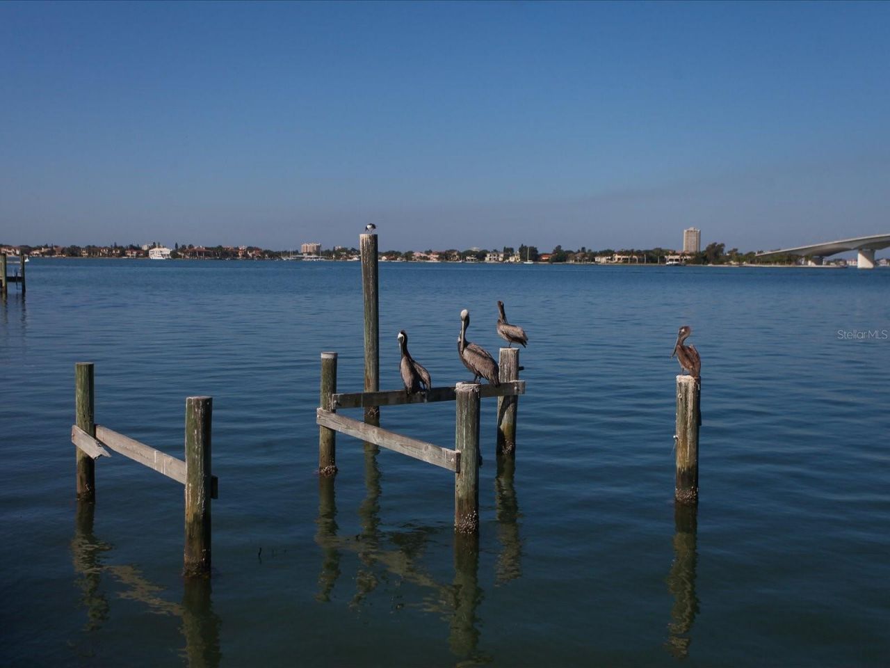 226 Golden Gate Point , Unit 44, Sarasota, FL 34236 Photo