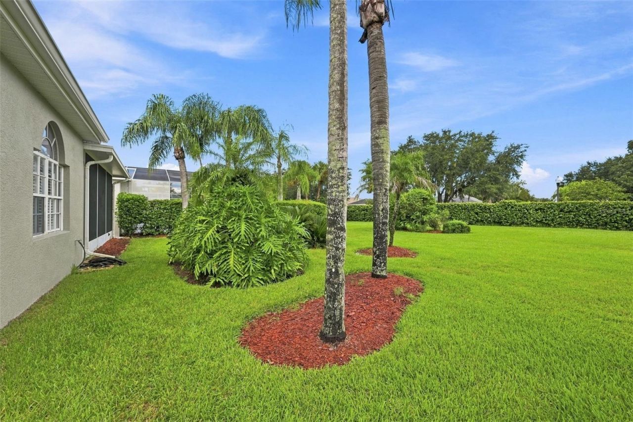 9303 Alcott Way, Trinity, FL 34655 Photo