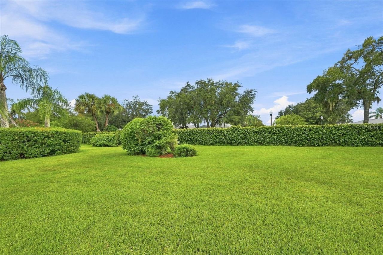 9303 Alcott Way, Trinity, FL 34655 Photo
