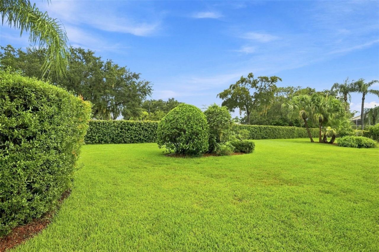 9303 Alcott Way, Trinity, FL 34655 Photo