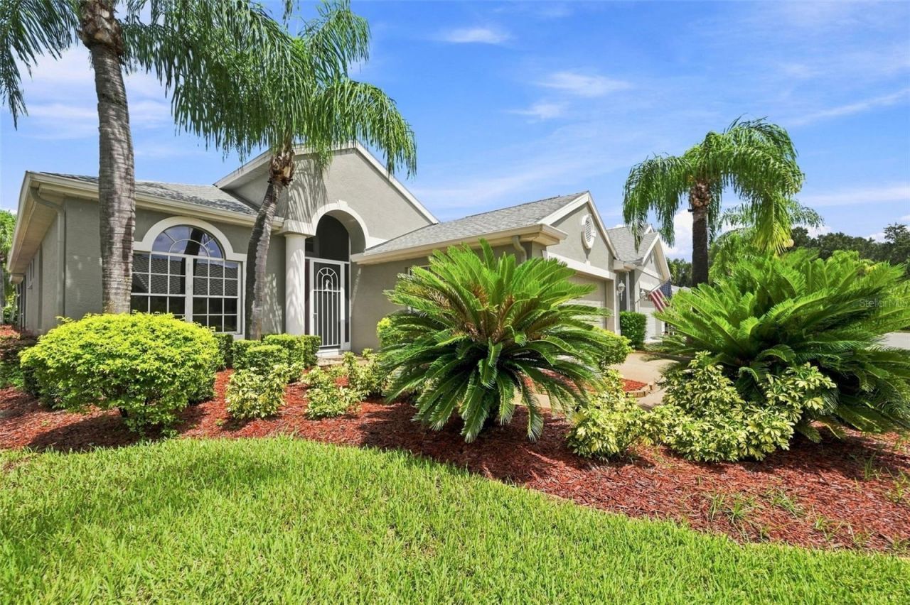 9303 Alcott Way, Trinity, FL 34655 Photo