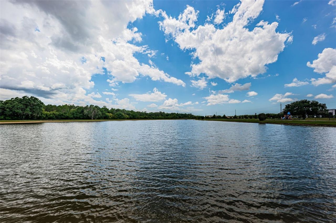 9303 Alcott Way, Trinity, FL 34655 Photo