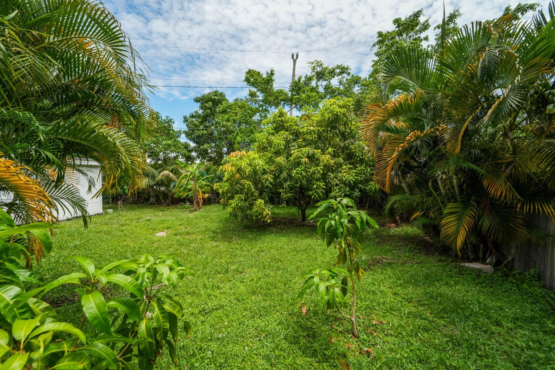 1007 Charles Street, West Palm Beach, FL 33401 Photo