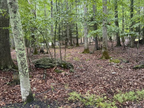 Lot 183 Forest Drive , Lakeville, PA 18438