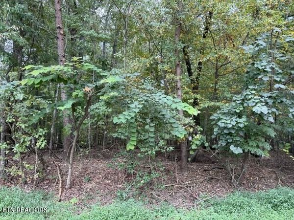 122 Ivy Lane, Fairfield Glade, TN 38558