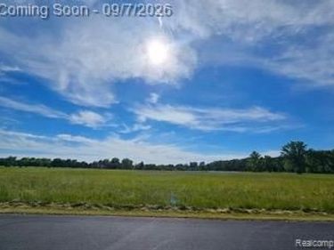 6260 Hidden Forrest Drive, Gaines Township, Mi 48473