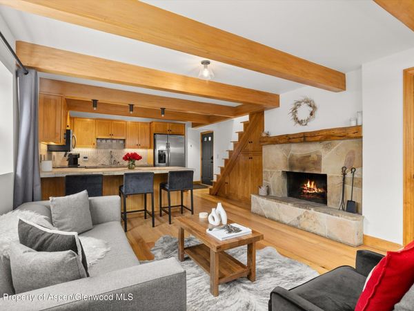 914 Waters Avenue, Unit 20, Aspen, CO 81611
