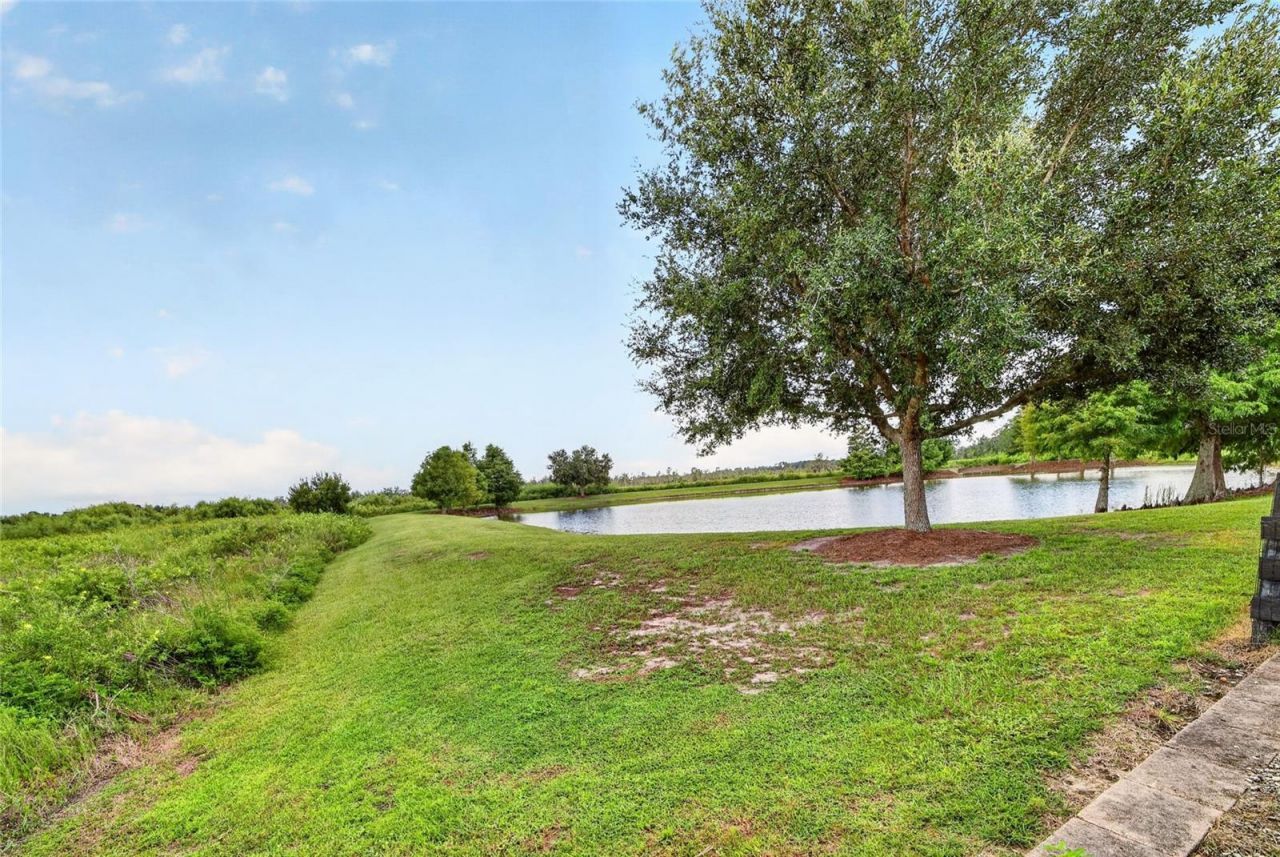 3751 Wine Palm Way, The Villages, FL 32163 Photo