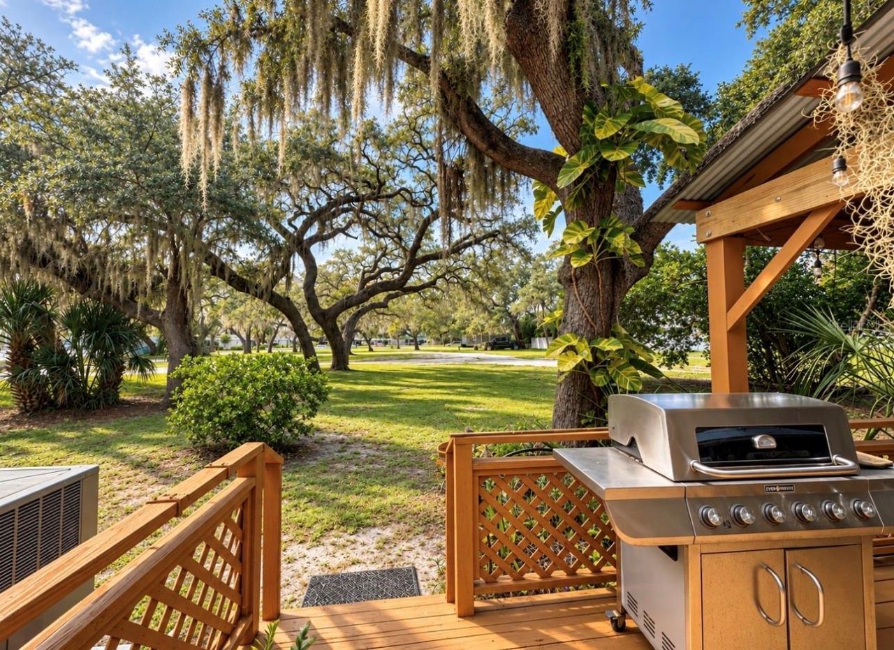 224 Albert Street, Dunedin, FL 34698 Photo