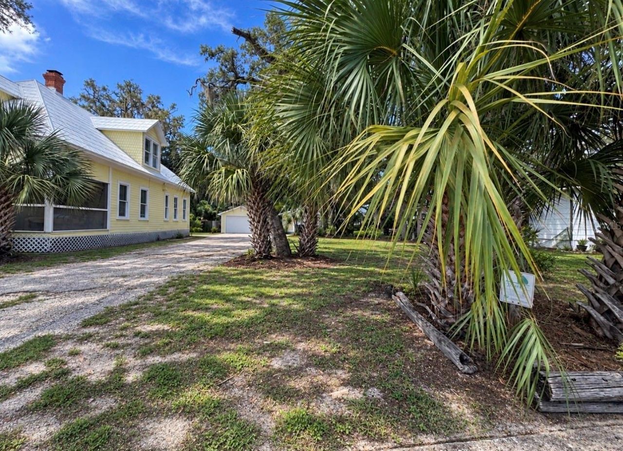 224 Albert Street, Dunedin, FL 34698 Photo