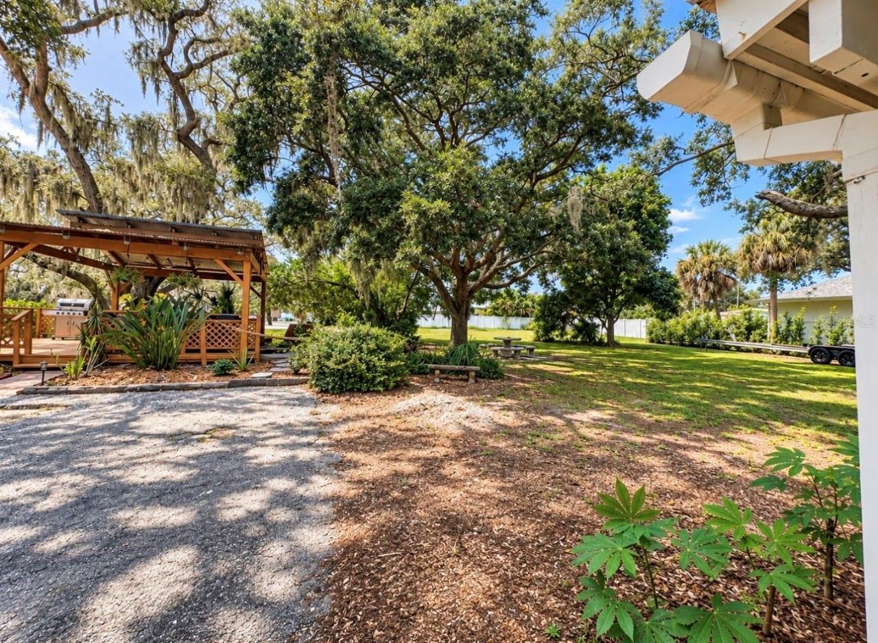 224 Albert Street, Dunedin, FL 34698 Photo