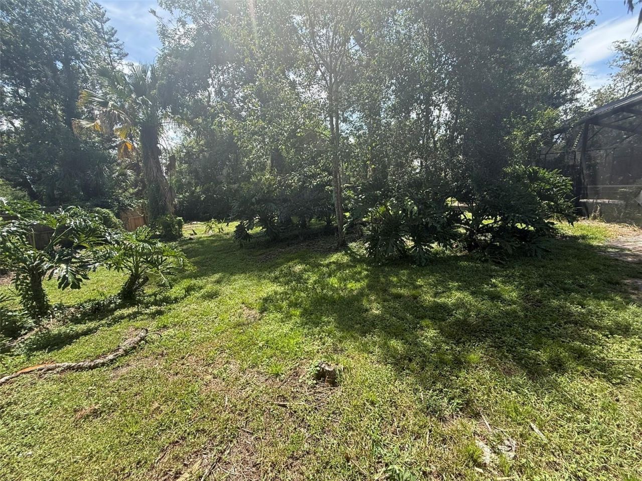 113 Locust Drive, Brandon, FL 33511 Photo