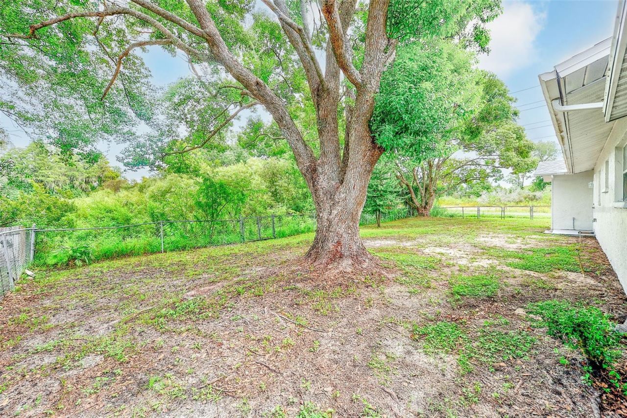 7949 Knight Drive, New Port Richey, FL 34653 Photo