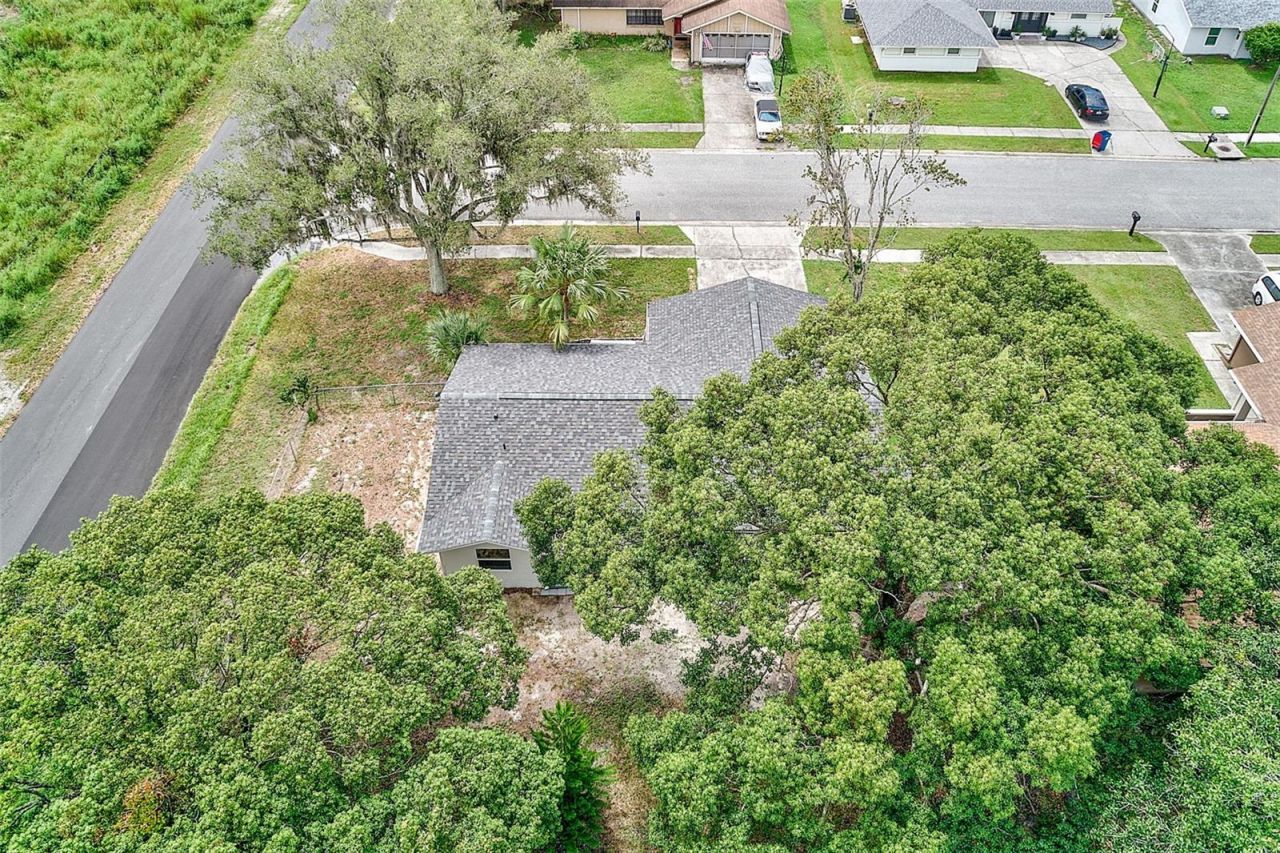 7949 Knight Drive, New Port Richey, FL 34653 Photo