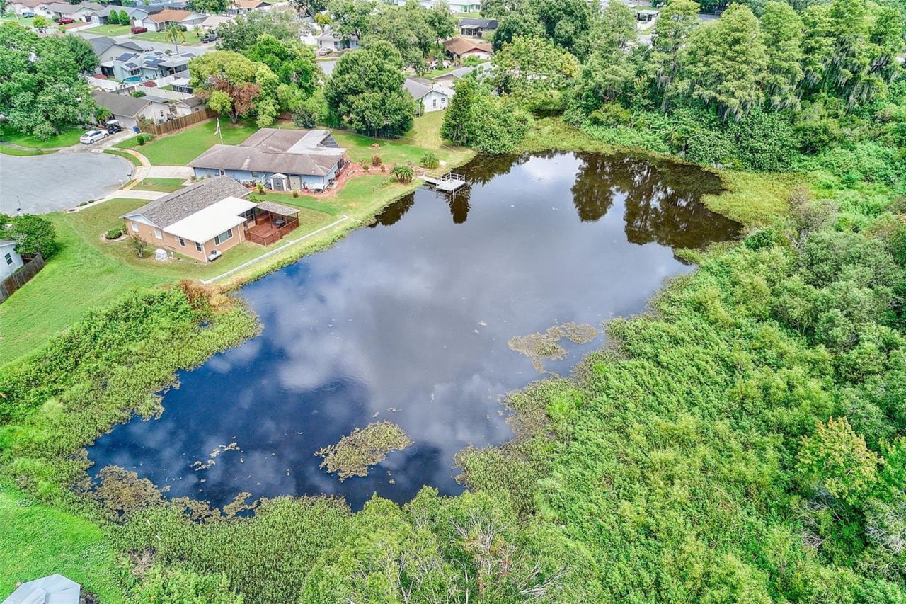 7949 Knight Drive, New Port Richey, FL 34653 Photo