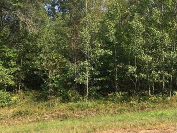 Lot 26 Shady Lane, Siren, WI 54872