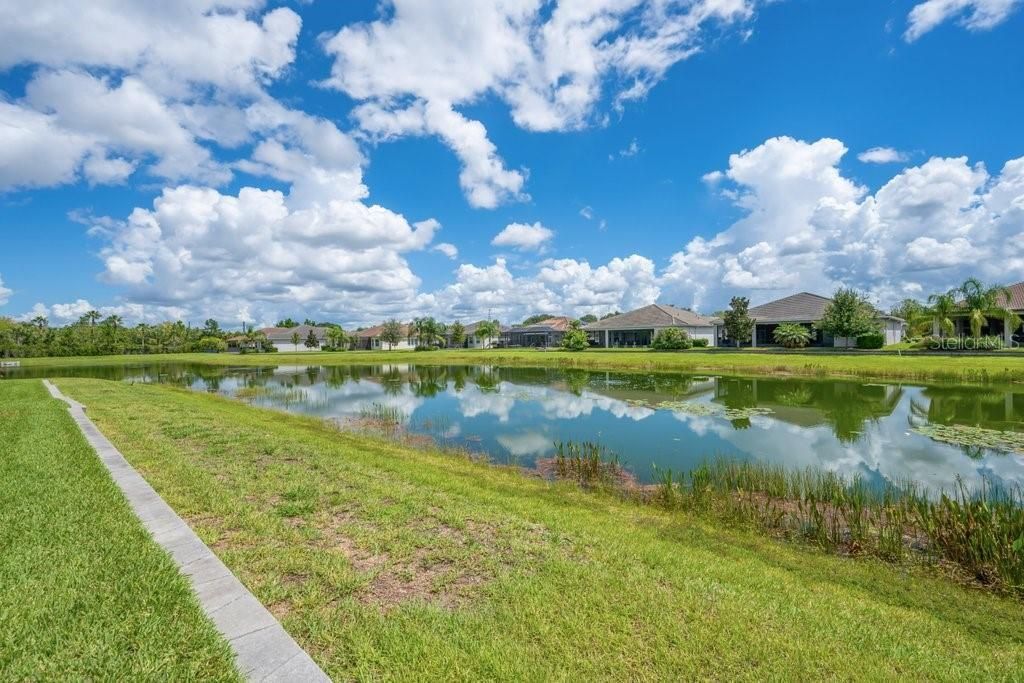 4906 Pamplona Court, Wimauma, FL 33598 Photo