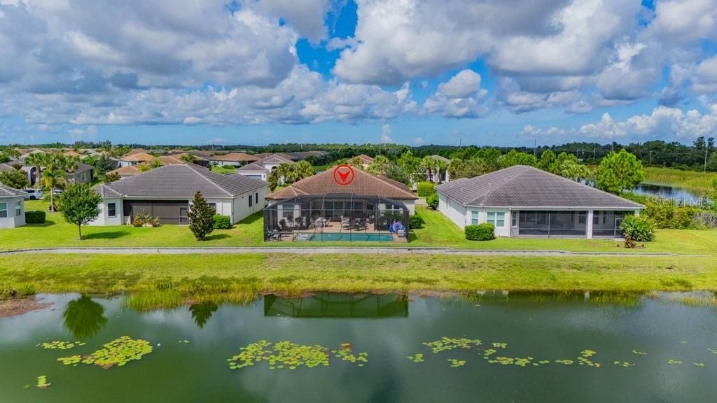 4906 Pamplona Court, Wimauma, FL 33598 Photo