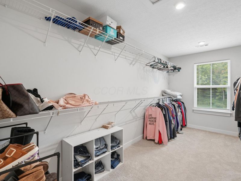 228 Livorno Road, Delaware, OH 43015 Photo 31