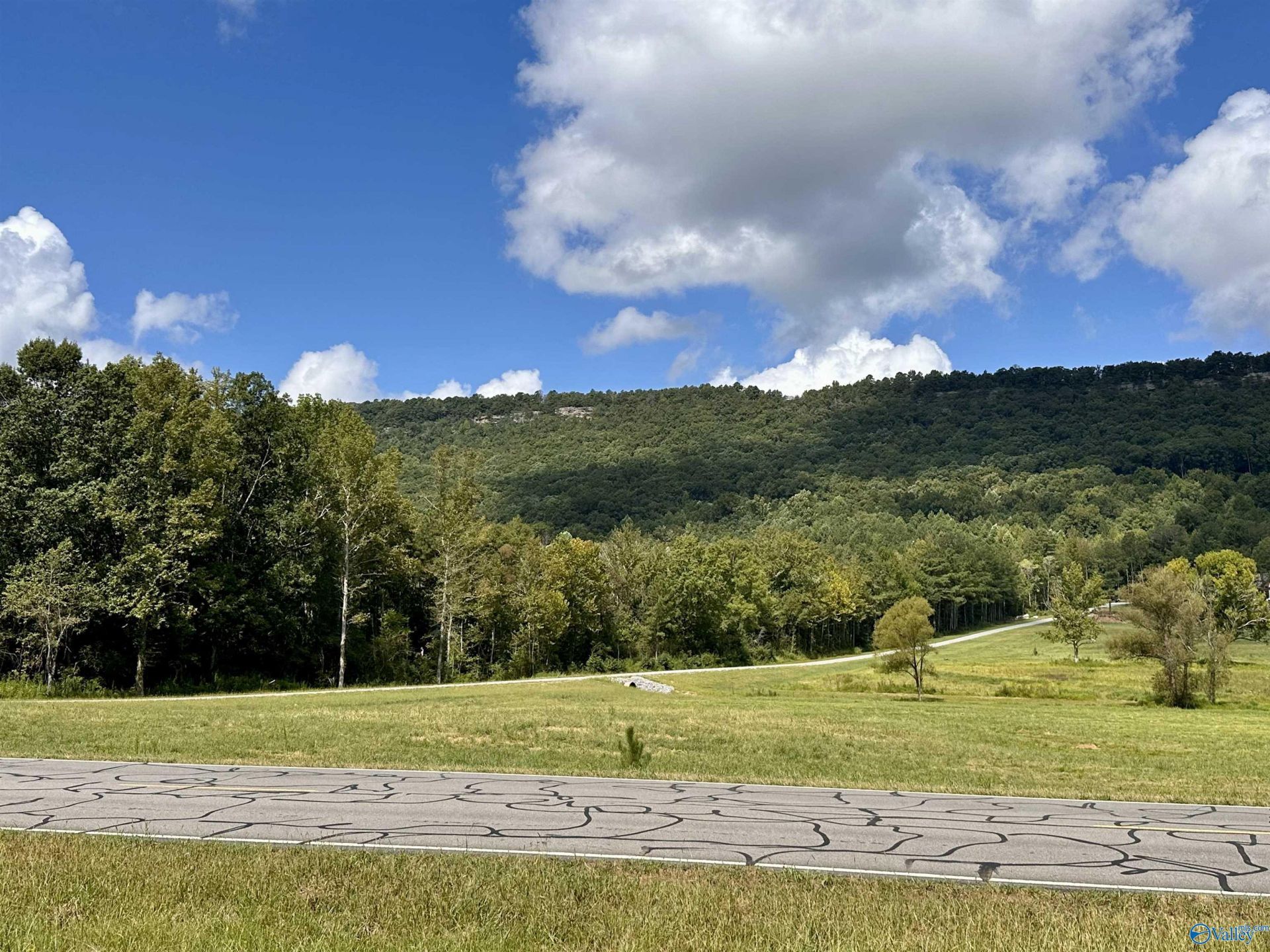 32 Acres Gallant Road, Gallant, AL 35972 Main Photo