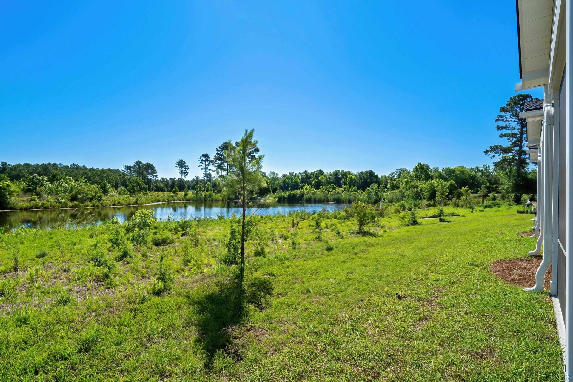 712 Bolder Way Photo 42