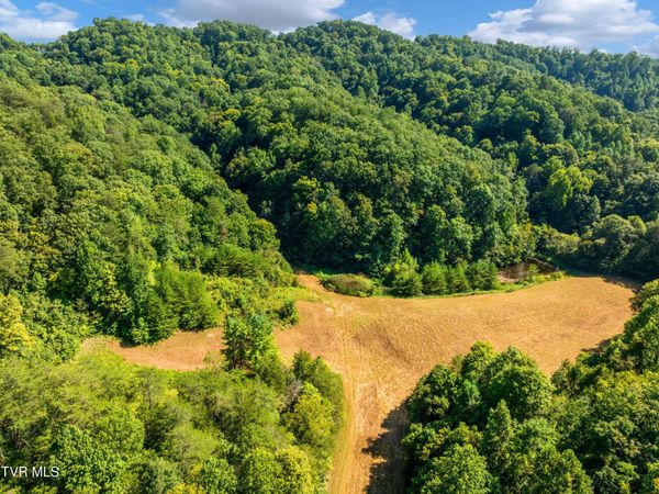 Tbd Bear Hollow, Greeneville, TN 37745