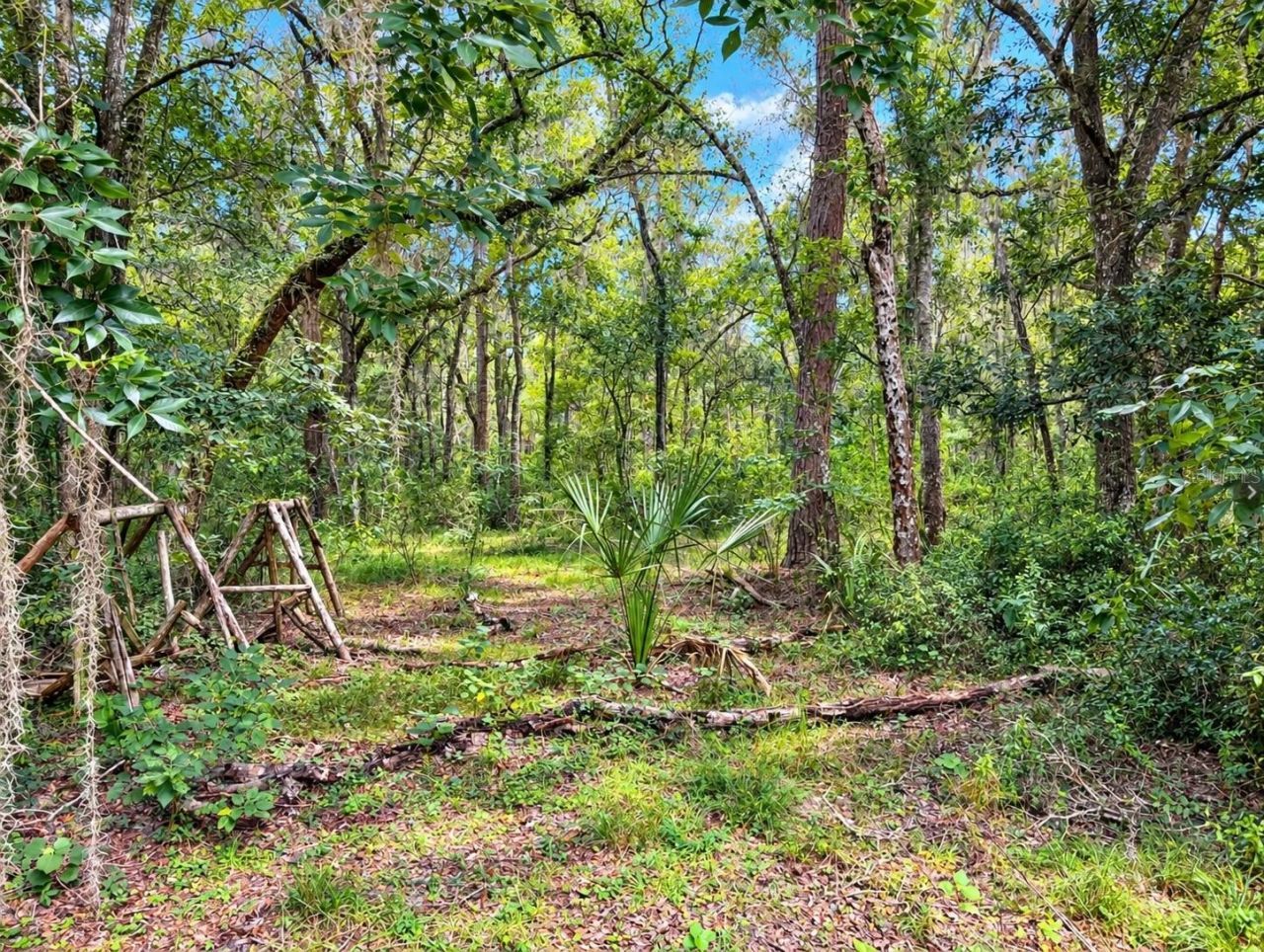 20327 Powell Road, Brooksville, FL 34604 Photo