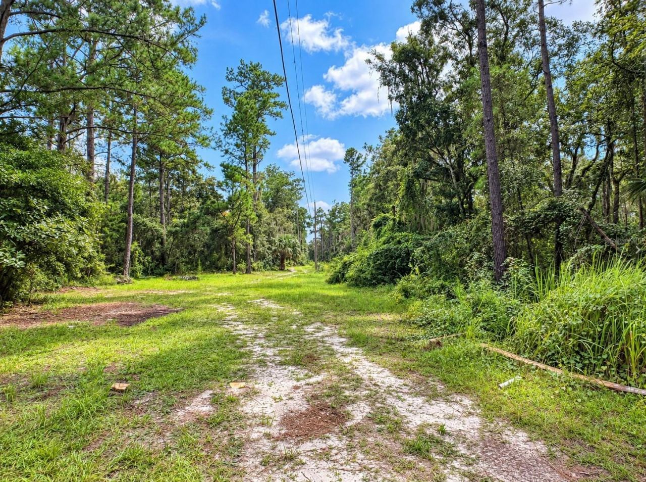 20327 Powell Road, Brooksville, FL 34604 Photo