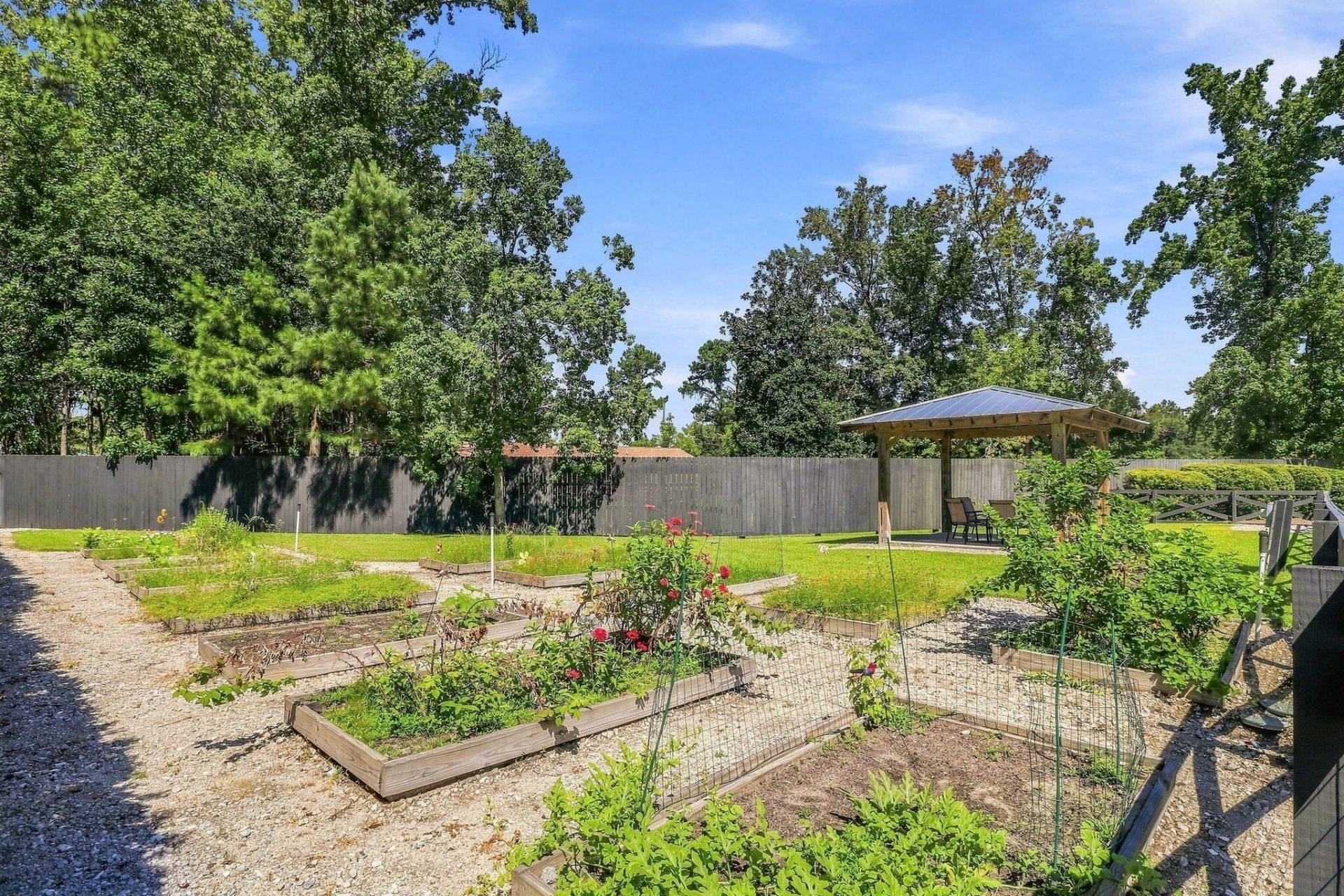 1184 Cultivator Street Photo 35