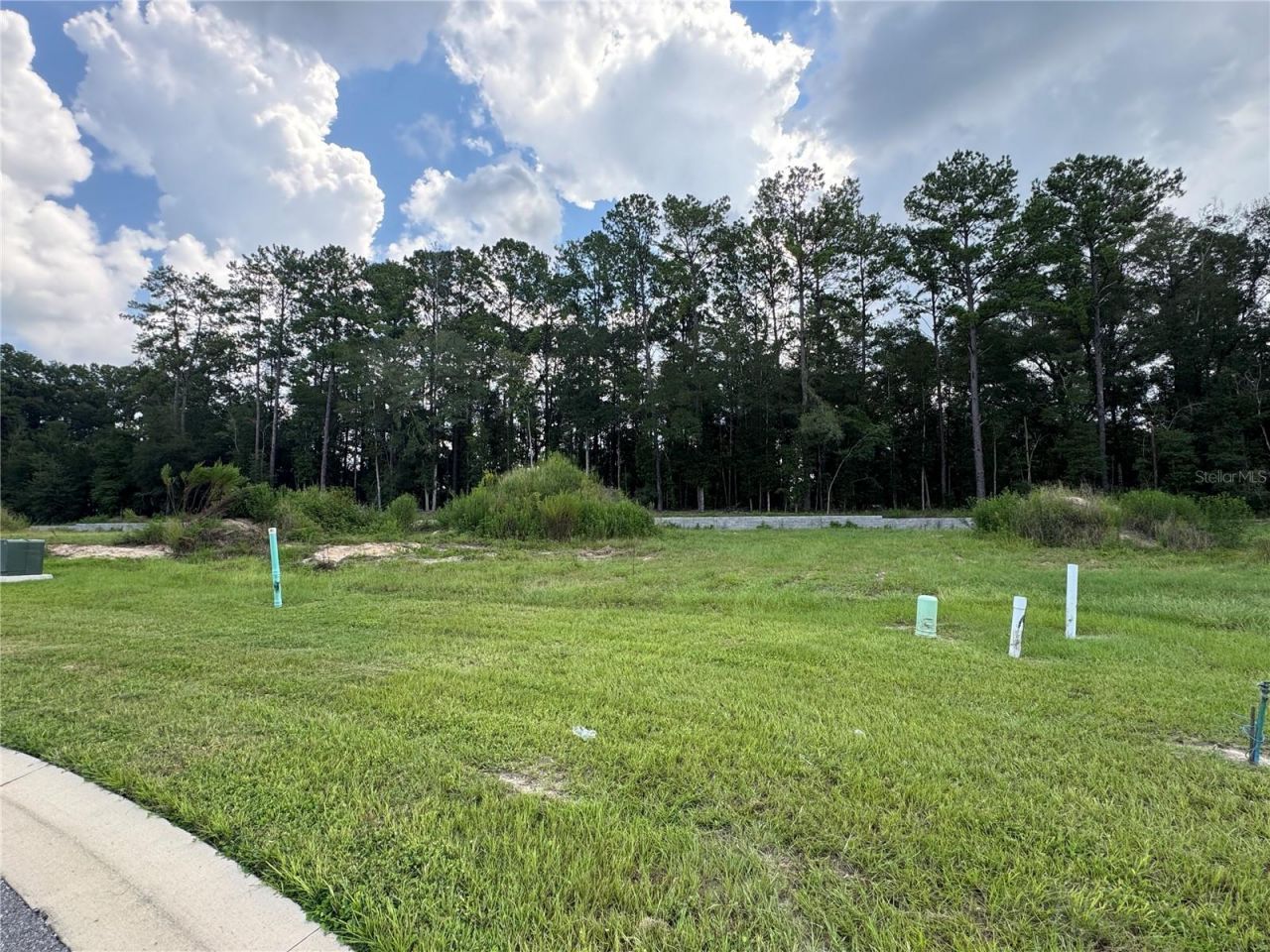 1099 SW 147th Terrace, Newberry, FL 32669 Photo