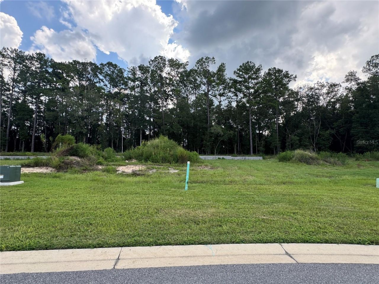 1099 SW 147th Terrace, Newberry, FL 32669 Photo