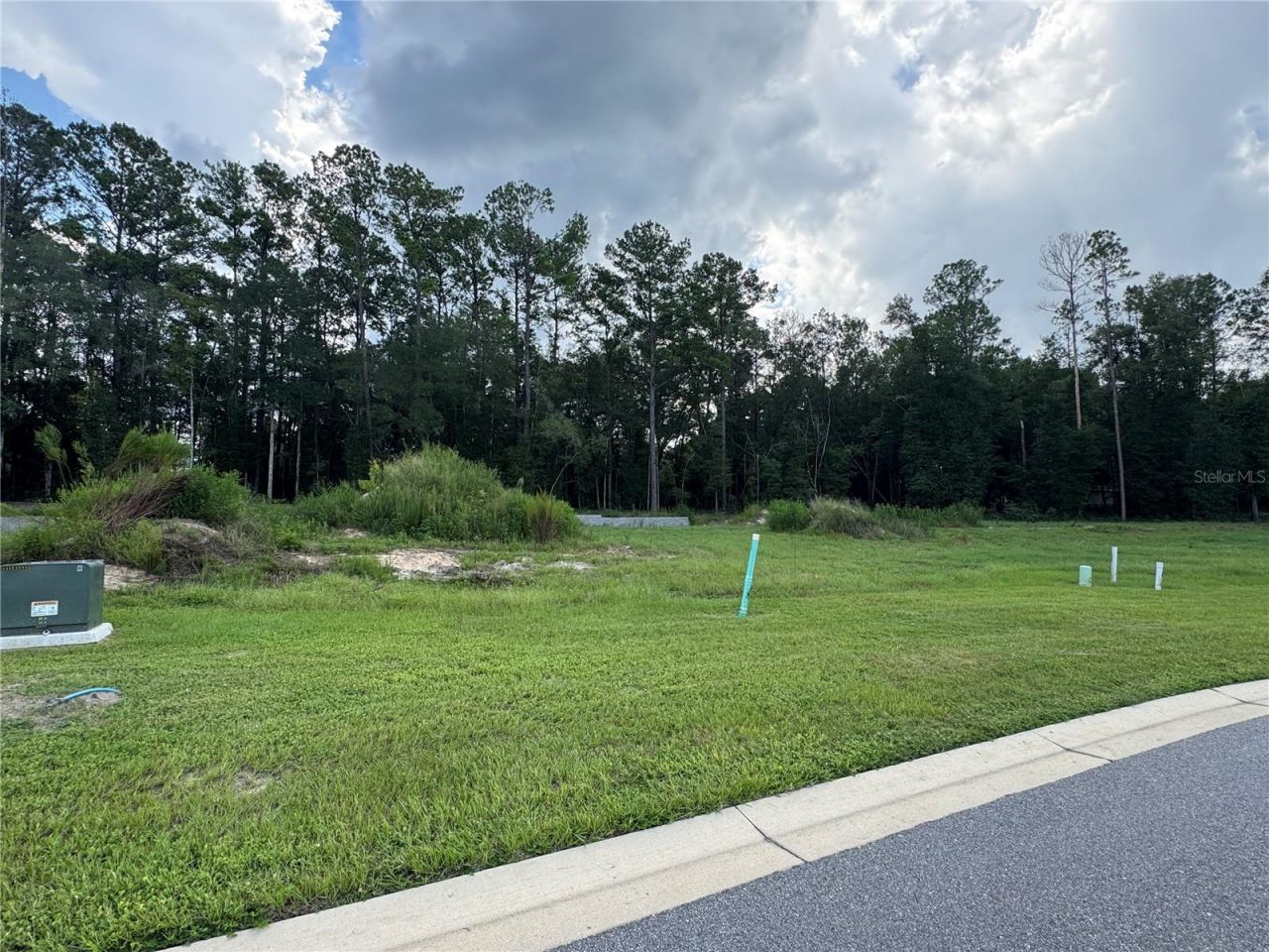 1099 SW 147th Terrace, Newberry, FL 32669 Photo