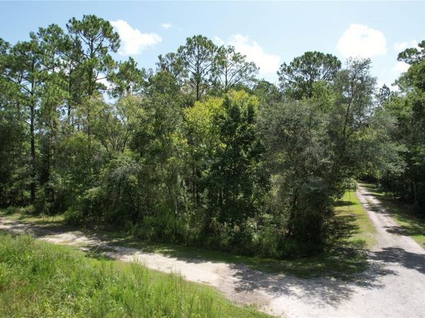 MERRYHILL DRIVE , WEBSTER, FL 33597