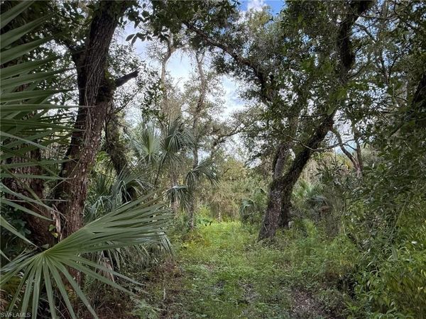 43026 L28 CANAL RD , IMMOKALEE, FL 34142