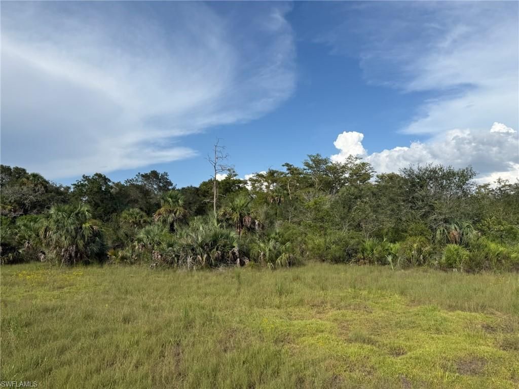43026 L28 Canal Rd, Immokalee, FL 34142 Photo