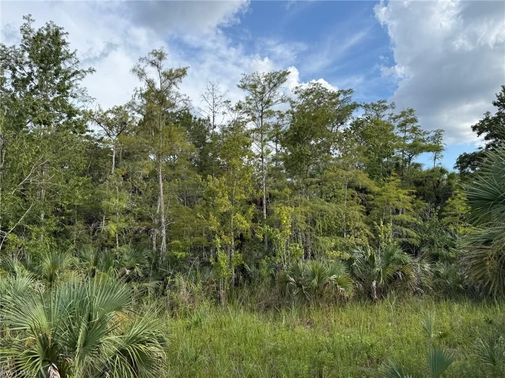 43026 L28 Canal Rd, Immokalee, FL 34142 Photo