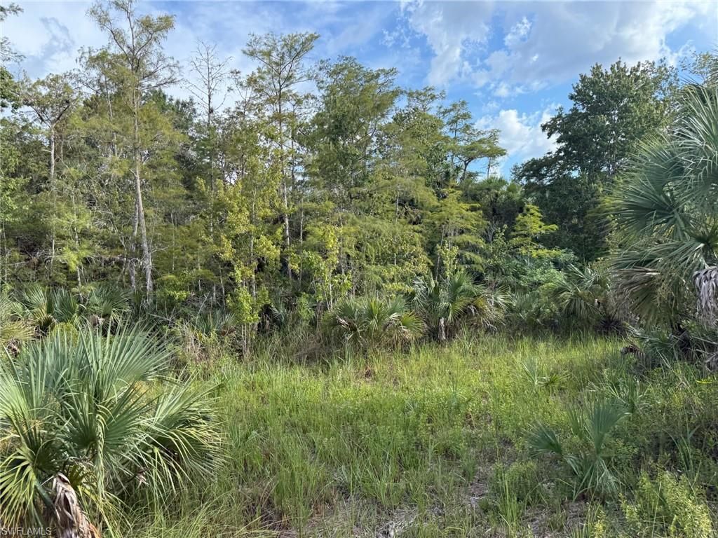 43026 L28 Canal Rd, Immokalee, FL 34142 Photo