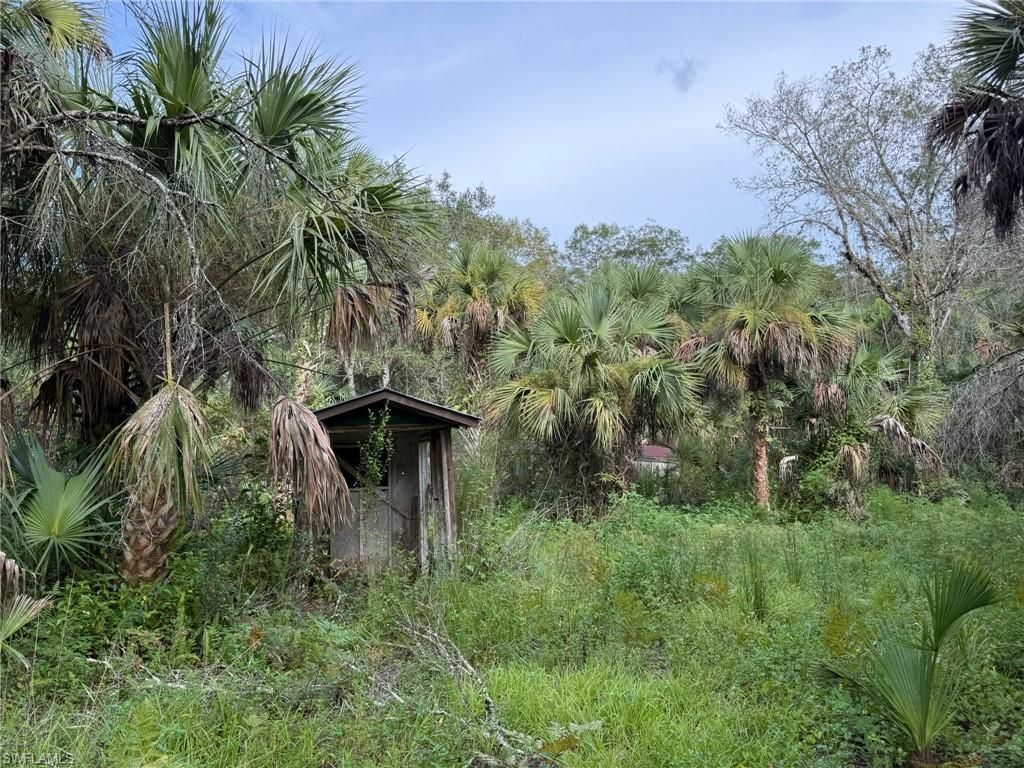 43026 L28 Canal Rd, Immokalee, FL 34142 Photo