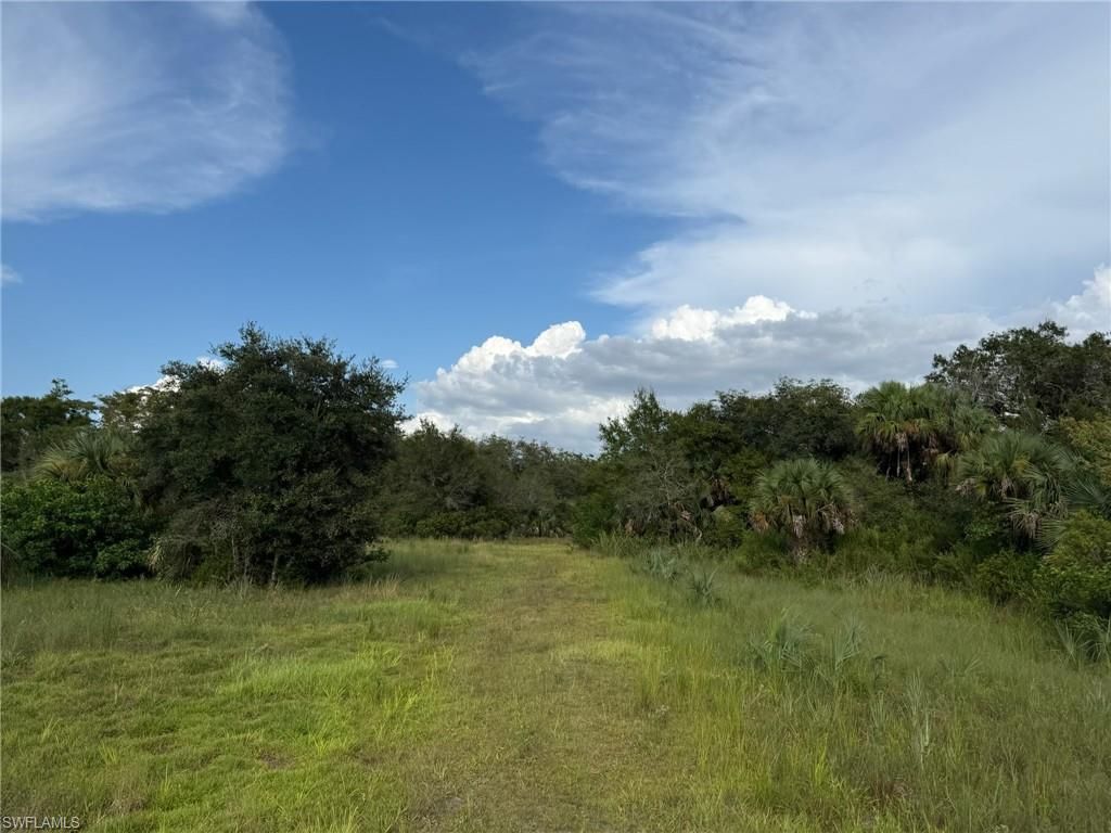 43026 L28 Canal Rd, Immokalee, FL 34142 Photo