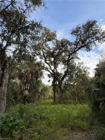 43026 L28 Canal Rd, Immokalee, FL 34142 Photo