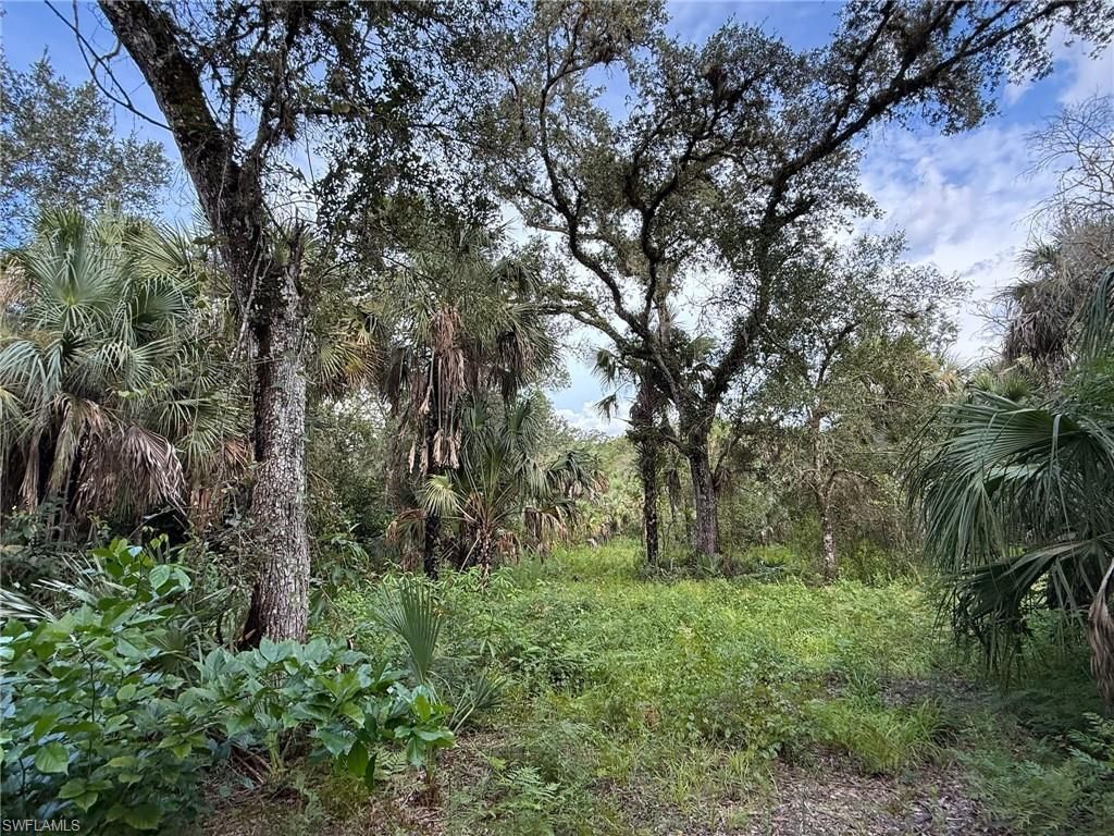 43026 L28 Canal Rd, Immokalee, FL 34142 Photo