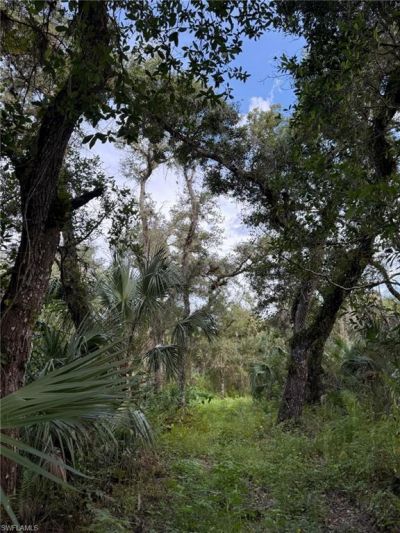 43026 L28 Canal Rd, Immokalee, FL 34142 Photo