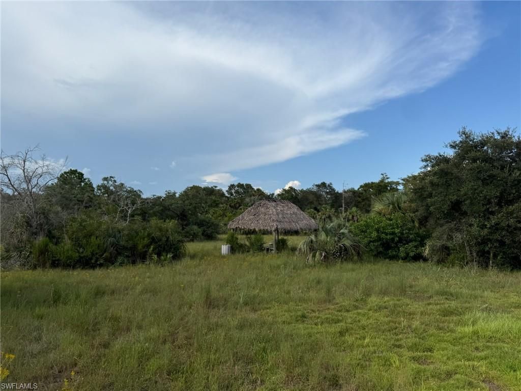 43026 L28 Canal Rd, Immokalee, FL 34142 Photo