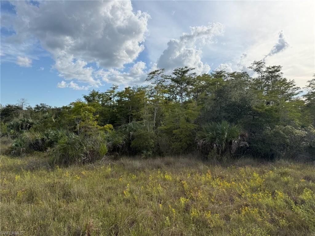 43026 L28 Canal Rd, Immokalee, FL 34142 Photo