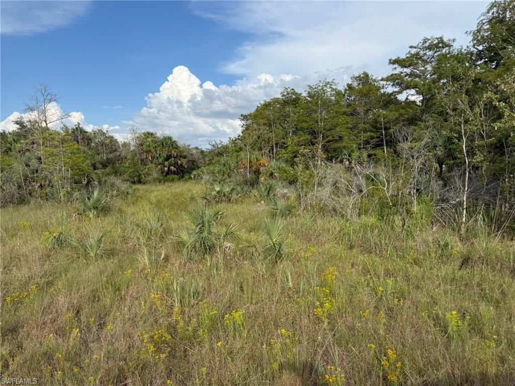 43026 L28 Canal Rd, Immokalee, FL 34142 Photo