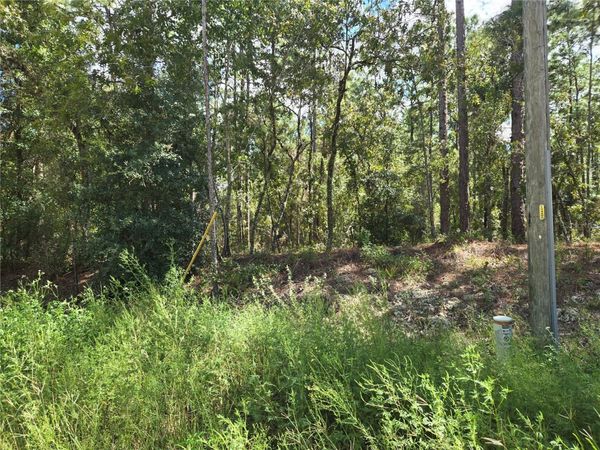SW 76TH LANE , DUNNELLON, FL 34432