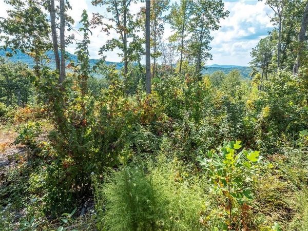 279 Highgrove Drive , Talking Rock, GA 30175