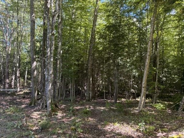 Lot 5 Partridge Road, Jackson, NH 03846